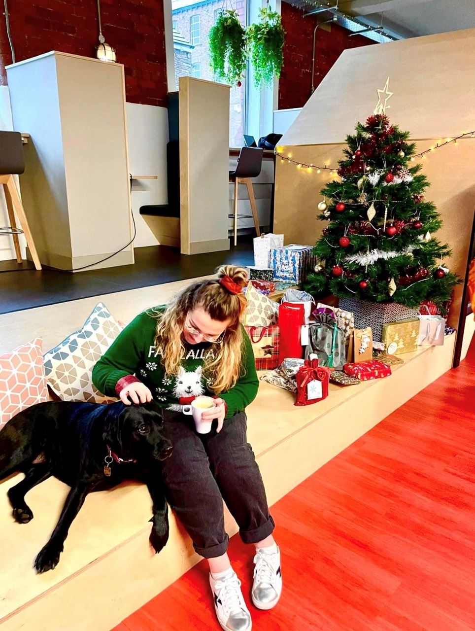 Molly and Bella sit by the Christmas tree in our office