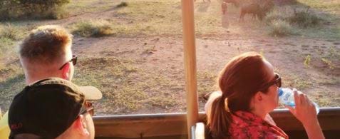 Three white people sat in a van looking out on to an African plain of antelope
